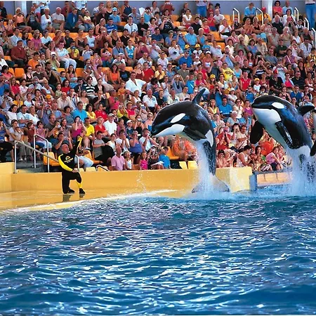 شقة Homeforguest Beach Apt With Sea View & Pool, 50 Steps To The Sea *