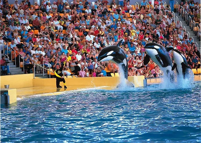 Apartment Homeforguest Beach Apt With Sea View & Pool, 50 Steps To The Sea *